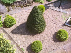 Formal Bushes