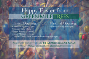 Easter-Green-Mile-Trees