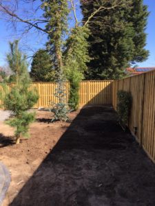 Trees and hedging for all tastes