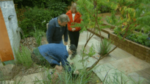 Harri plants his tree