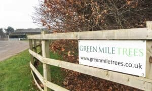 Green Mile Trees Entrance