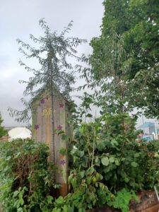Green Mile Trees Make Do and Mend Gardeners World Live 2021