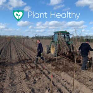 GMT Plant Healthy Nursery
