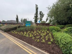 Green Mile Trees Toparia Summits planting